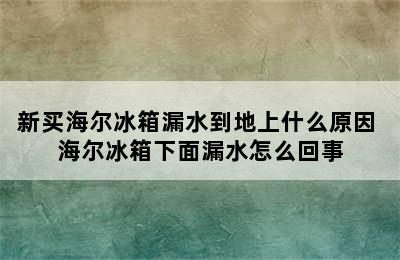 新买海尔冰箱漏水到地上什么原因 海尔冰箱下面漏水怎么回事